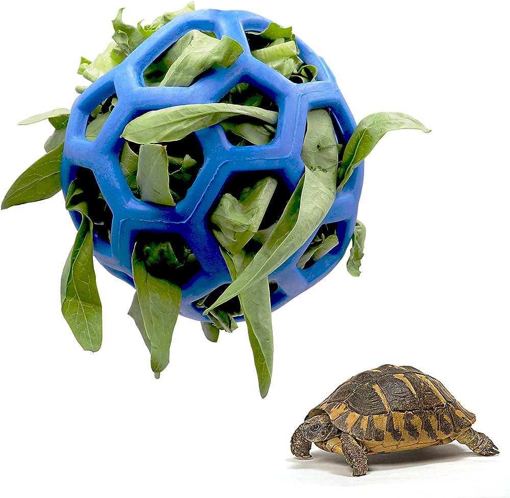 Age-Appropriate Toys And Enrichment For Baby Turtles