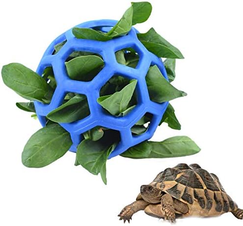 Age-Appropriate Toys And Enrichment For Baby Turtles