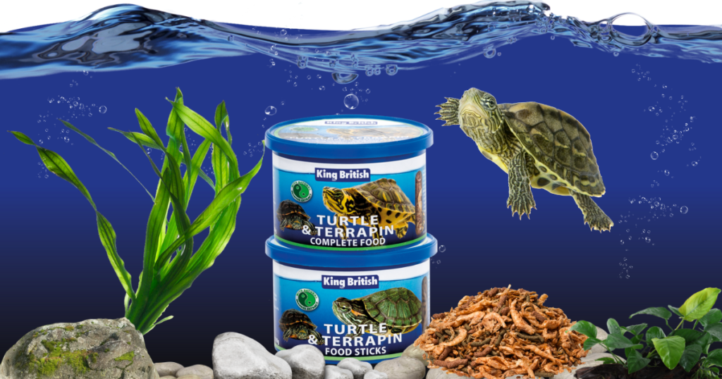 Feeding Turtles A Balanced Diet: Incorporating Variety And Nutrients