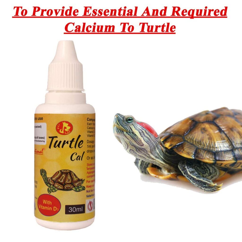 The Importance Of Calcium And Vitamin D3 For Healthy Turtle Shells