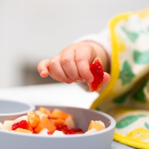 The Transition To Solid Foods: Weaning Baby Turtles Off Of A Liquid Diet