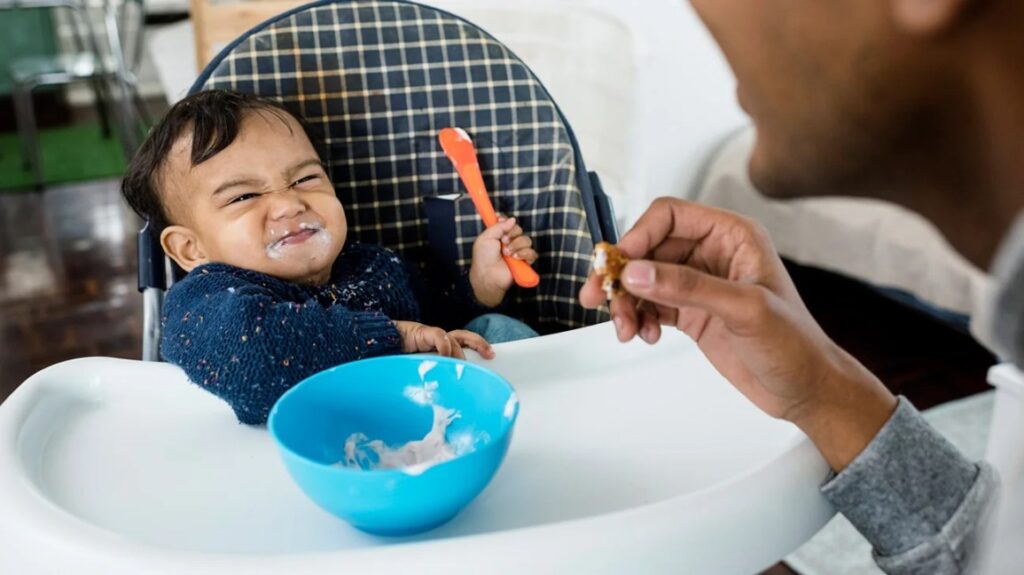 The Transition To Solid Foods: Weaning Baby Turtles Off Of A Liquid Diet