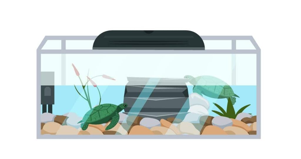 Creating A Comfortable And Safe Basking Area For Baby Turtles