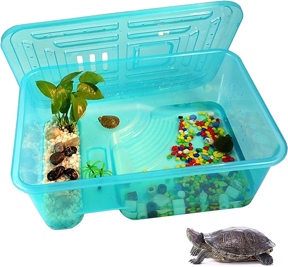 Creating A Safe And Secure Habitat To Prevent Escapes In Baby Turtles