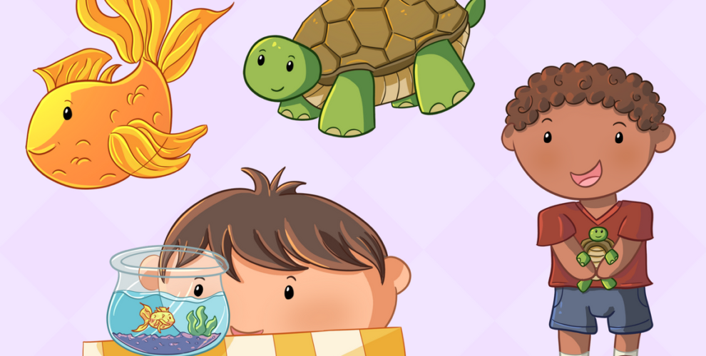 Educating Children About Responsible Turtle Rearing At Home
