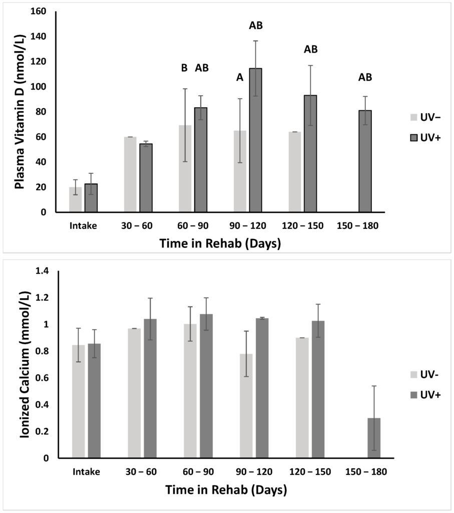 The Impact Of Ultraviolet Light Exposure On Vitamin D Synthesis In Baby Turtles