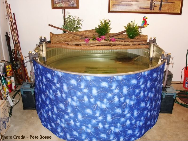 Tips For Choosing The Right Filter System For Indoor Turtle Enclosures