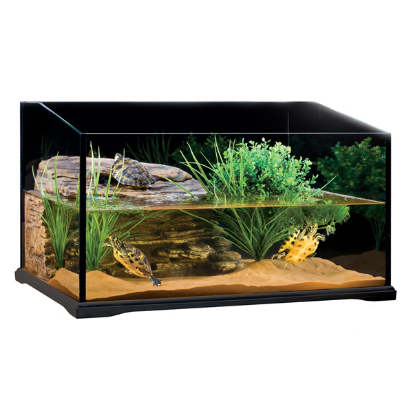 Creating A Safe And Comfortable Habitat For Pet Turtles