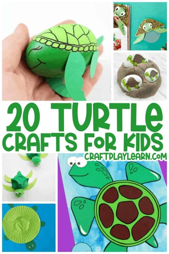 The Art Of Turtle Enrichment: Stimulating Activities For Happy Turtles