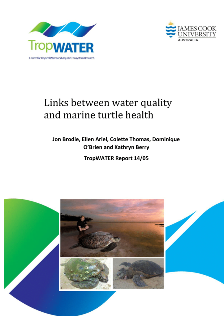 The Role Of Water Quality In Turtle Health And Well-being