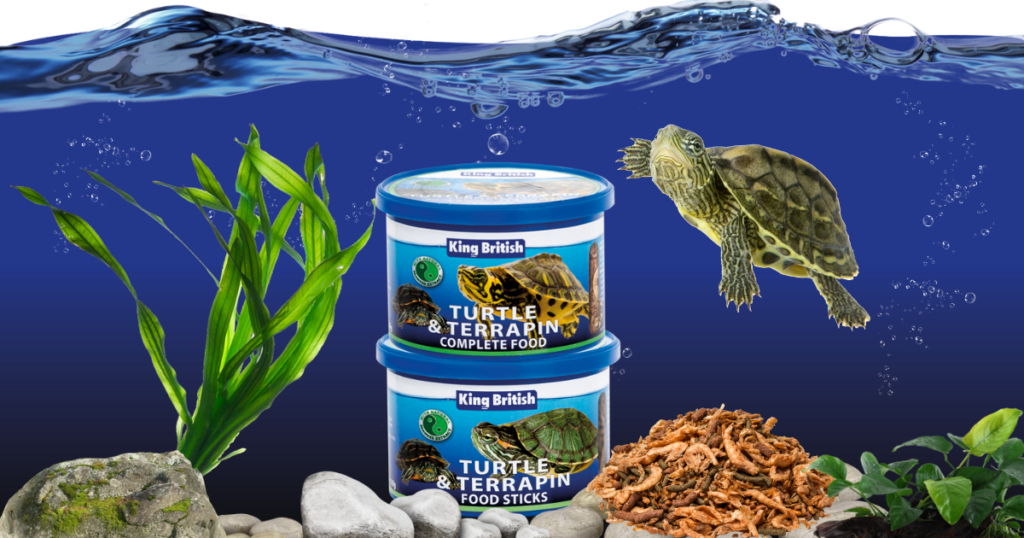 Tips For Feeding Your Pet Turtle A Balanced And Nutritious Diet