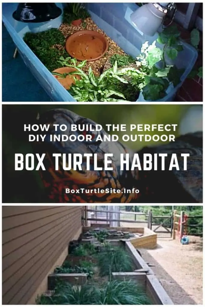 Turtle Habitat Expansion: How To Upgrade And Expand Enclosures