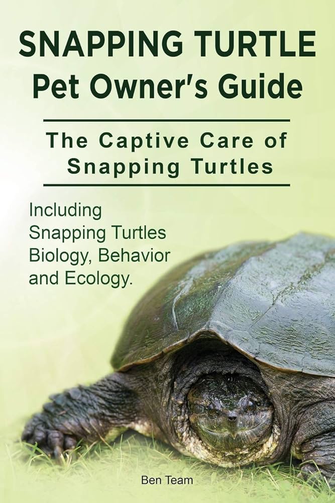 Turtle Species Spotlight: The Snapping Turtle - Care And Handling Guidelines